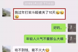 嘉鱼要债公司